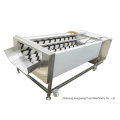 Nabo / Rabanete Lavagem e Peeling Machine